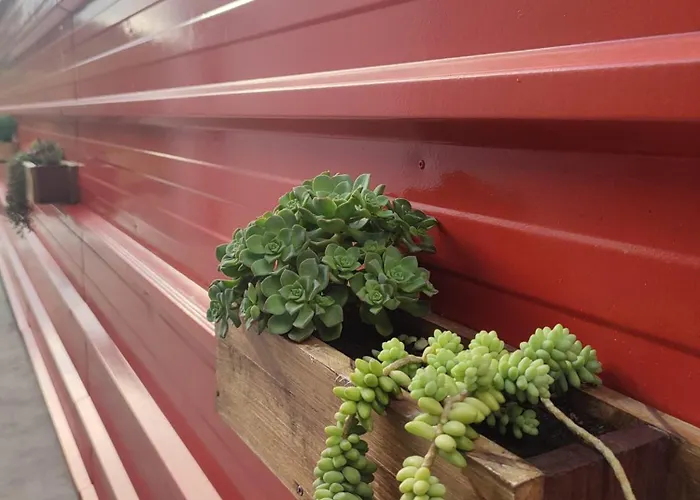 Casa Boa Nova 別荘 *